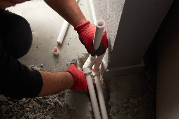 Best Plumbing Inspection Services  in Davison, MI