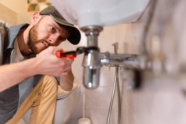 Best Toilet Repair Services  in Davison, MI