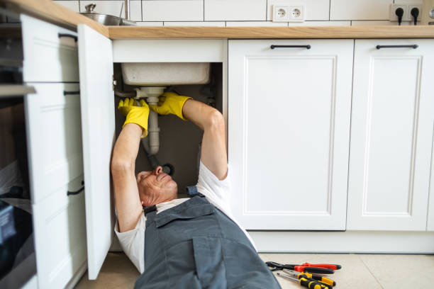 Best Plumbing Installation Services  in Davison, MI